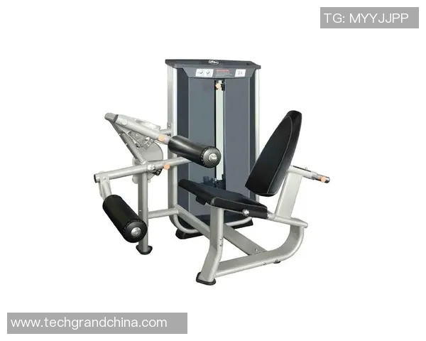 体育产品的种类与分类详解包括器材服装配件及相关服务