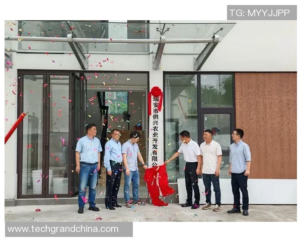 探索体育产品经理的职业发展路径与市场趋势分析